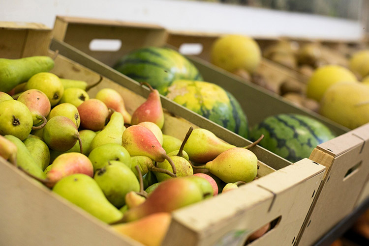 Frutas Produtos